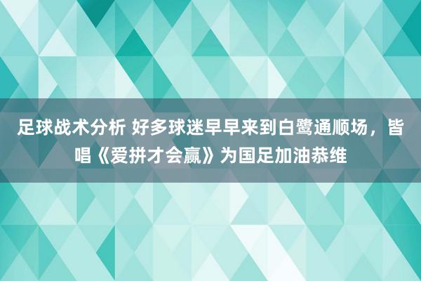 足球战术分析 好多球迷早早来到白鹭通顺场，皆唱《爱拼才会赢》为国足加油恭维