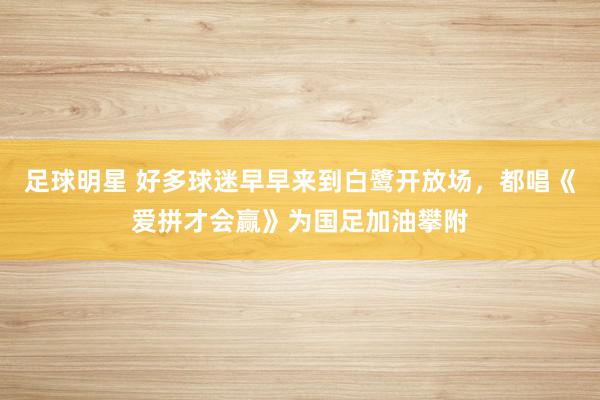 足球明星 好多球迷早早来到白鹭开放场，都唱《爱拼才会赢》为国足加油攀附