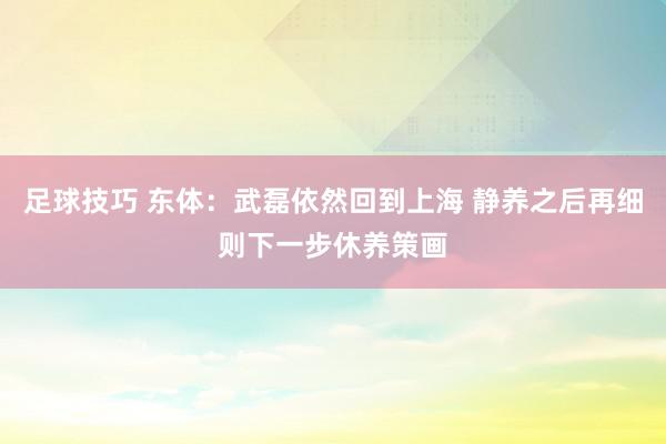 足球技巧 东体：武磊依然回到上海 静养之后再细则下一步休养策画